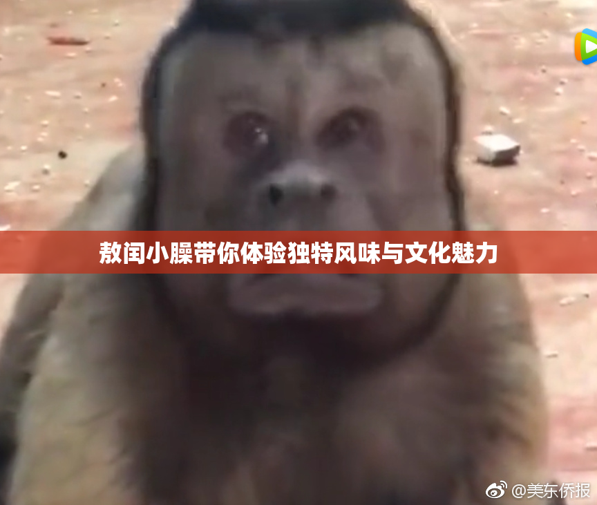 敖闰小臊带你体验独特风味与文化魅力