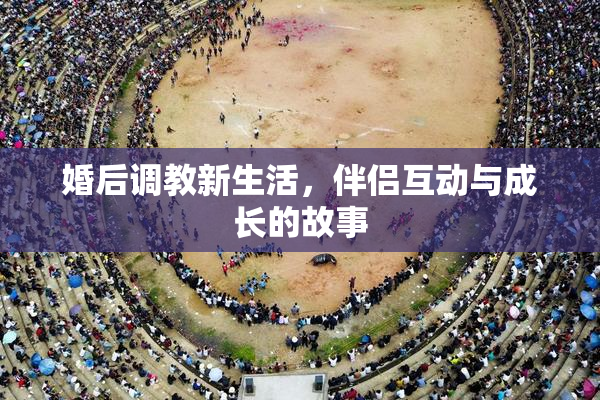 婚后调教新生活，伴侣互动与成长的故事