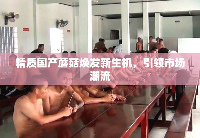 精质国产蘑菇焕发新生机，引领市场潮流
