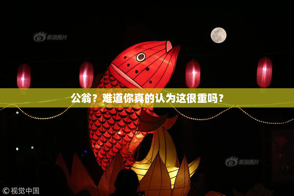 公翁？难道你真的认为这很重吗？