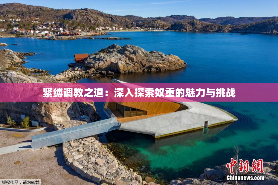 紧缚调教之道：深入探索奴重的魅力与挑战