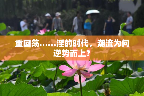 重回荡……淫的时代，潮流为何逆势而上？