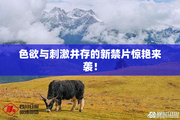 色欲与刺激并存的新禁片惊艳来袭！