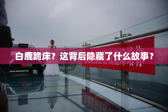 白鹿跪床？这背后隐藏了什么故事？