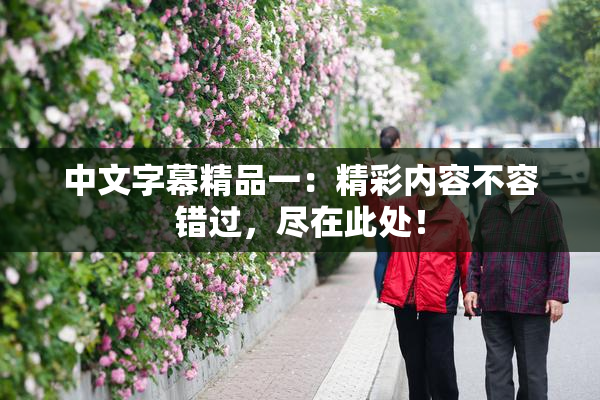 中文字幕精品一：精彩内容不容错过，尽在此处！