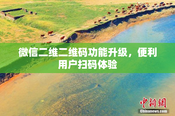 微信二维二维码功能升级，便利用户扫码体验
