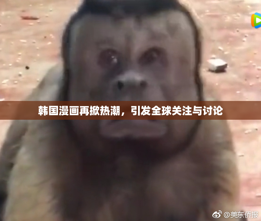韩国漫画再掀热潮，引发全球关注与讨论
