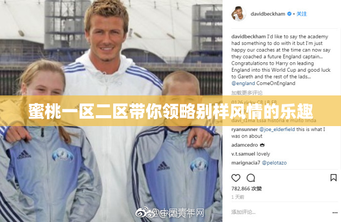 蜜桃一区二区带你领略别样风情的乐趣