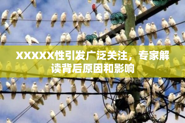 XXXXX性引发广泛关注，专家解读背后原因和影响