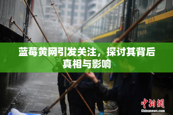 蓝莓黄网引发关注，探讨其背后真相与影响