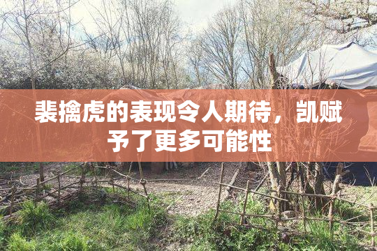 裴擒虎的表现令人期待，凯赋予了更多可能性