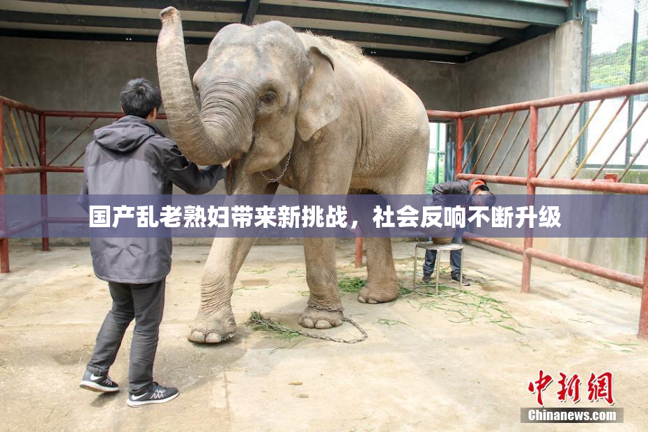 国产乱老熟妇带来新挑战，社会反响不断升级