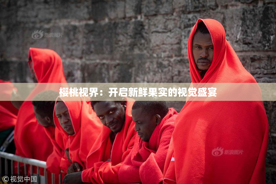 樱桃视界：开启新鲜果实的视觉盛宴