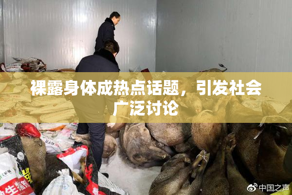 裸露身体成热点话题，引发社会广泛讨论