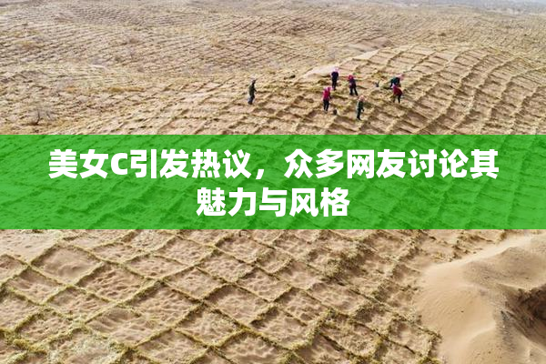 美女C引发热议，众多网友讨论其魅力与风格