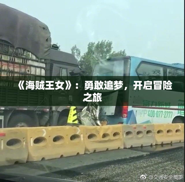 《海贼王女》：勇敢追梦，开启冒险之旅
