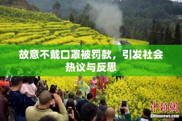 故意不戴口罩被罚款，引发社会热议与反思