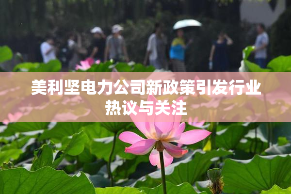 美利坚电力公司新政策引发行业热议与关注
