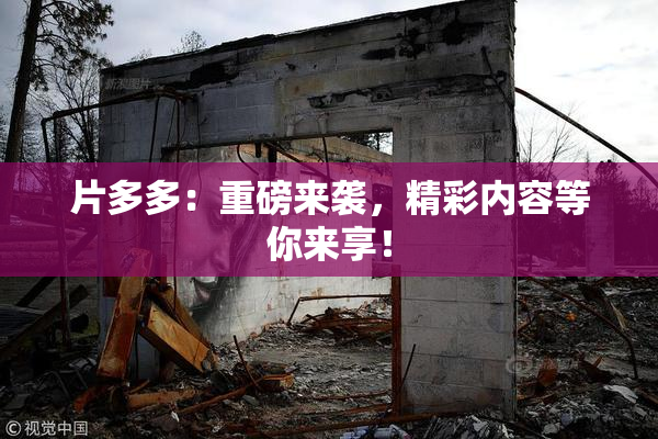 片多多：重磅来袭，精彩内容等你来享！