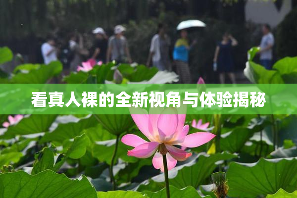 看真人裸的全新视角与体验揭秘