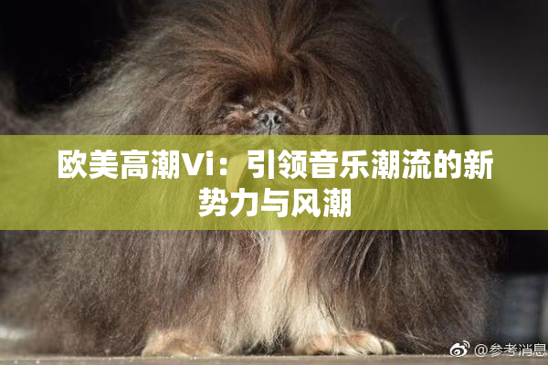 欧美高潮Vi：引领音乐潮流的新势力与风潮