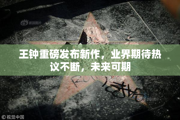 王钟重磅发布新作，业界期待热议不断，未来可期