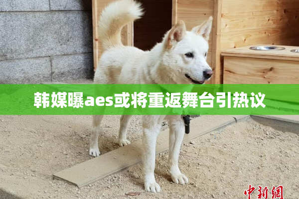 韩媒曝aes或将重返舞台引热议