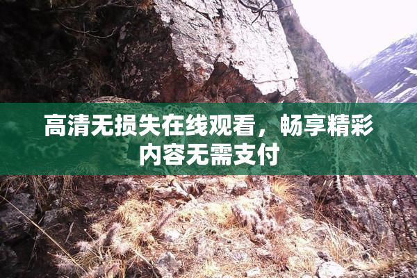 高清无损失在线观看，畅享精彩内容无需支付