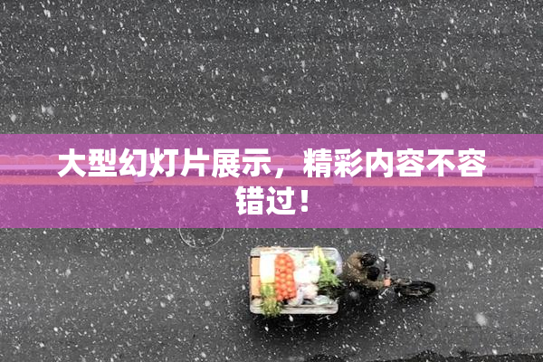 大型幻灯片展示，精彩内容不容错过！
