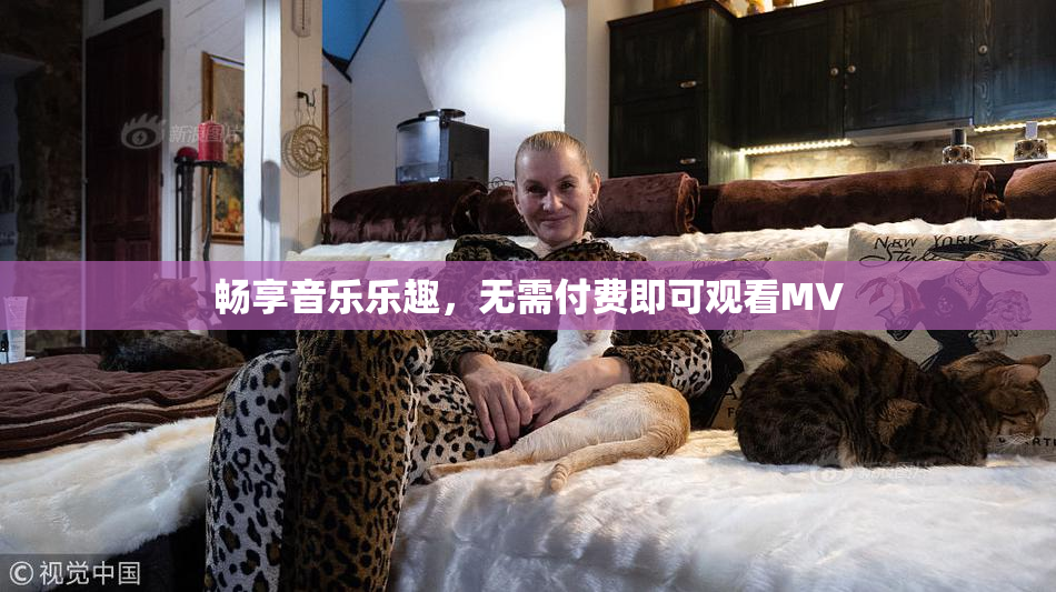 畅享音乐乐趣，无需付费即可观看MV