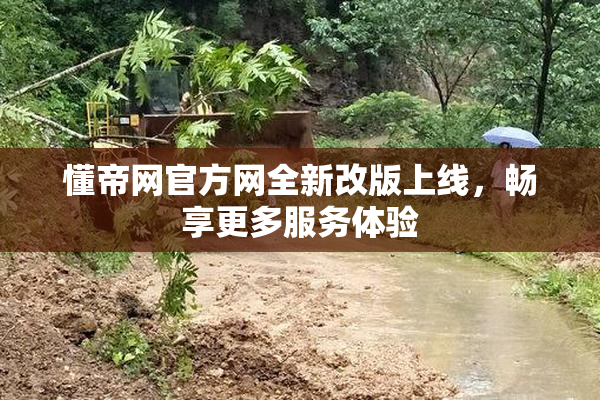 懂帝网官方网全新改版上线，畅享更多服务体验