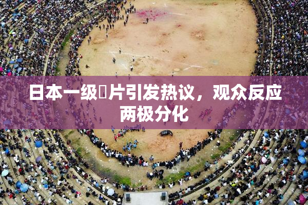 日本一级婬片引发热议，观众反应两极分化