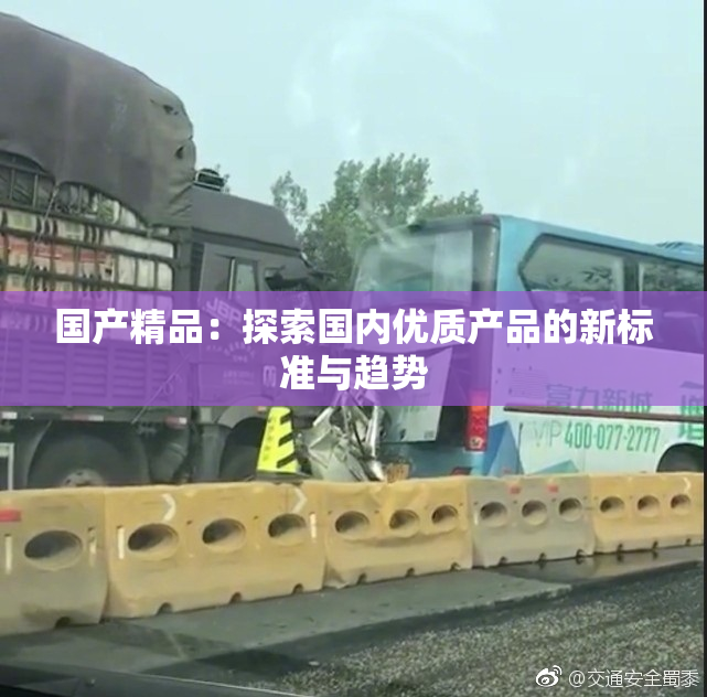 国产精品：探索国内优质产品的新标准与趋势