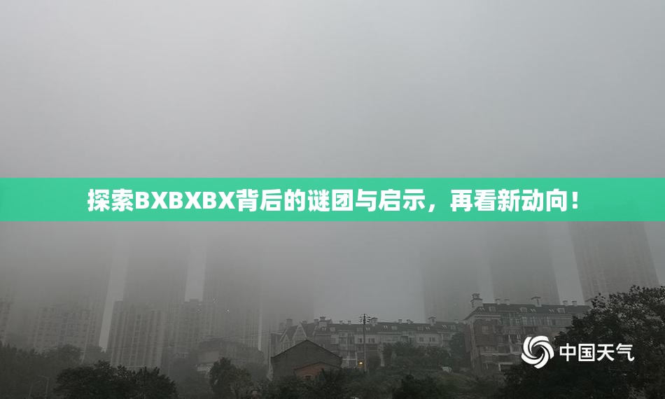探索BXBXBX背后的谜团与启示，再看新动向！