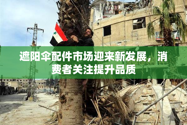 遮阳伞配件市场迎来新发展，消费者关注提升品质