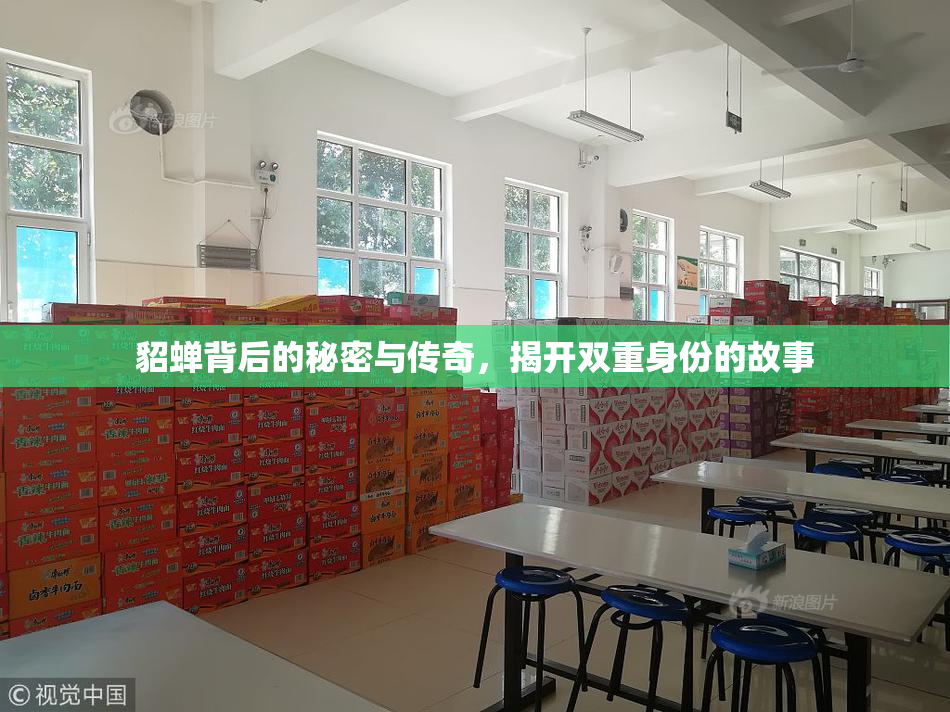 貂蝉背后的秘密与传奇，揭开双重身份的故事