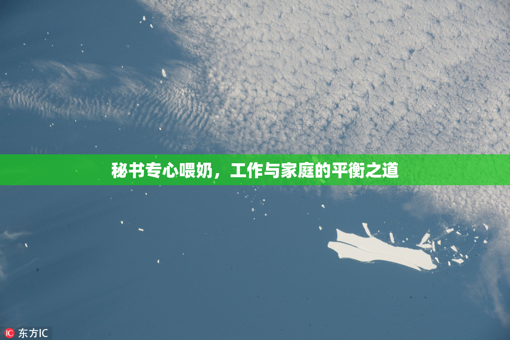 秘书专心喂奶，工作与家庭的平衡之道