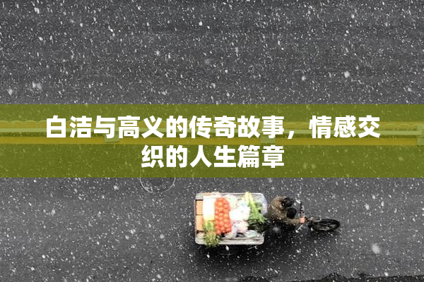 白洁与高义的传奇故事，情感交织的人生篇章