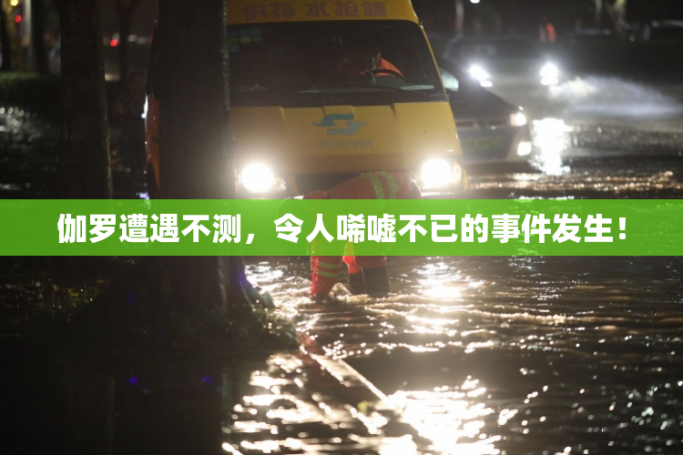 伽罗遭遇不测，令人唏嘘不已的事件发生！