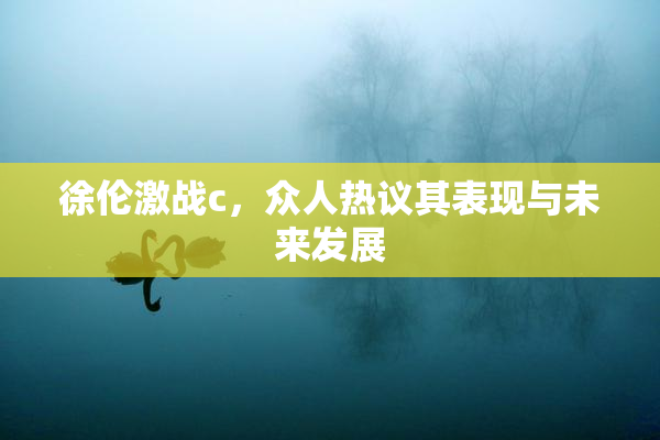徐伦激战c，众人热议其表现与未来发展