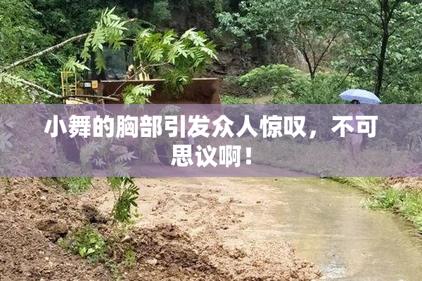 小舞的胸部引发众人惊叹，不可思议啊！