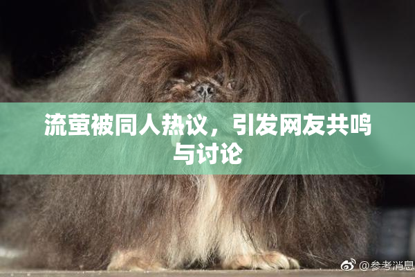 流萤被同人热议，引发网友共鸣与讨论