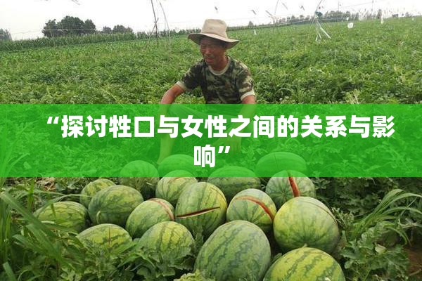 “探讨牲口与女性之间的关系与影响”