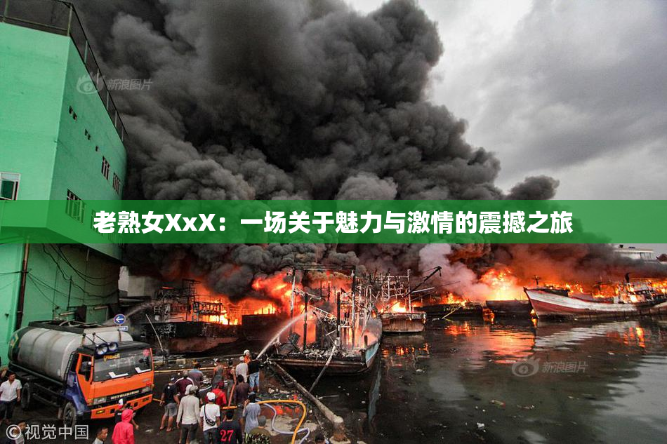 老熟女XxX：一场关于魅力与激情的震撼之旅
