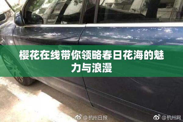 樱花在线带你领略春日花海的魅力与浪漫