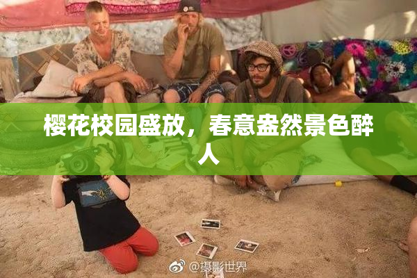 樱花校园盛放，春意盎然景色醉人