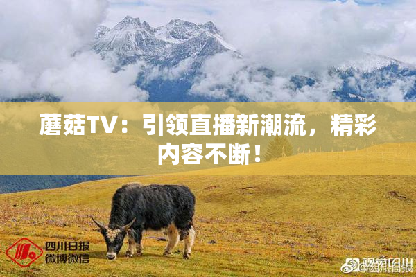 蘑菇TV：引领直播新潮流，精彩内容不断！