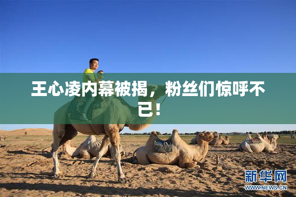 王心凌内幕被揭，粉丝们惊呼不已！