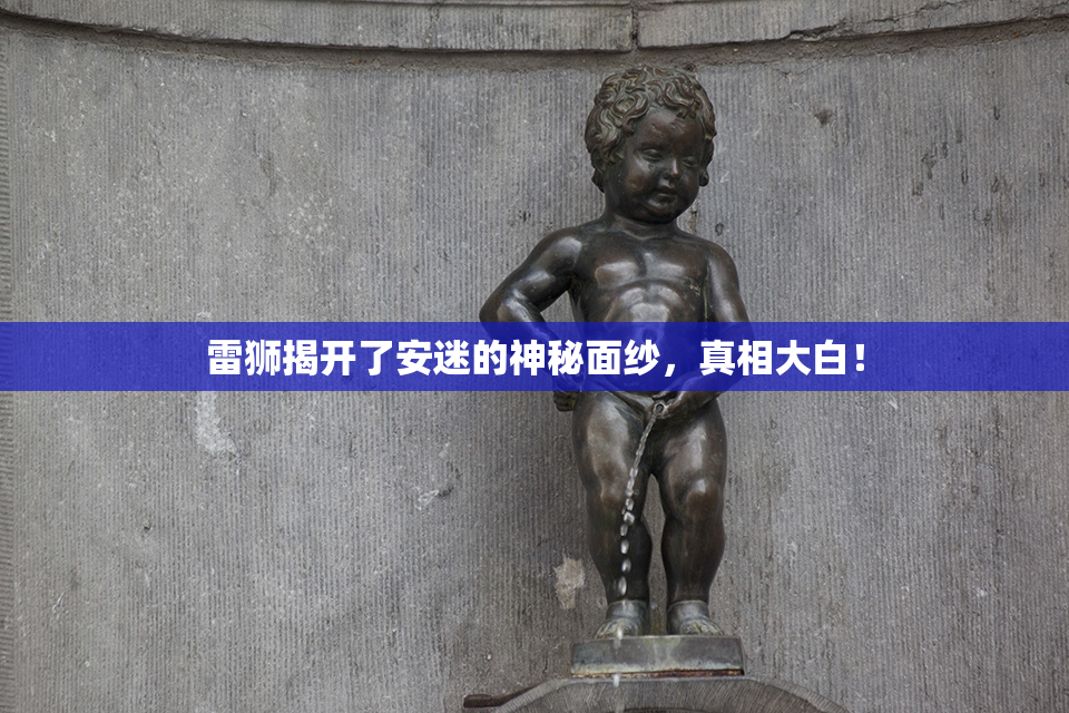 雷狮揭开了安迷的神秘面纱，真相大白！