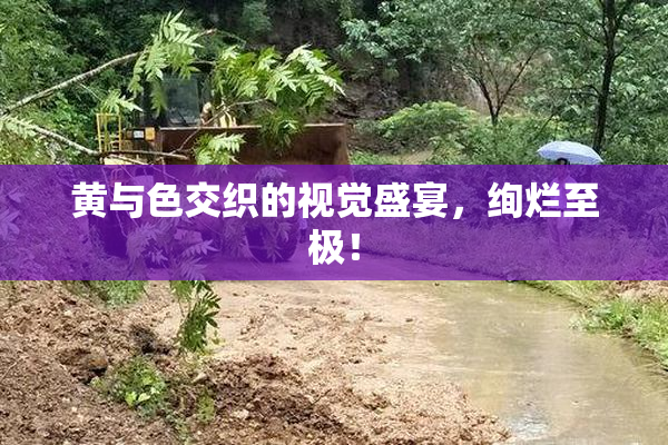 黄与色交织的视觉盛宴，绚烂至极！